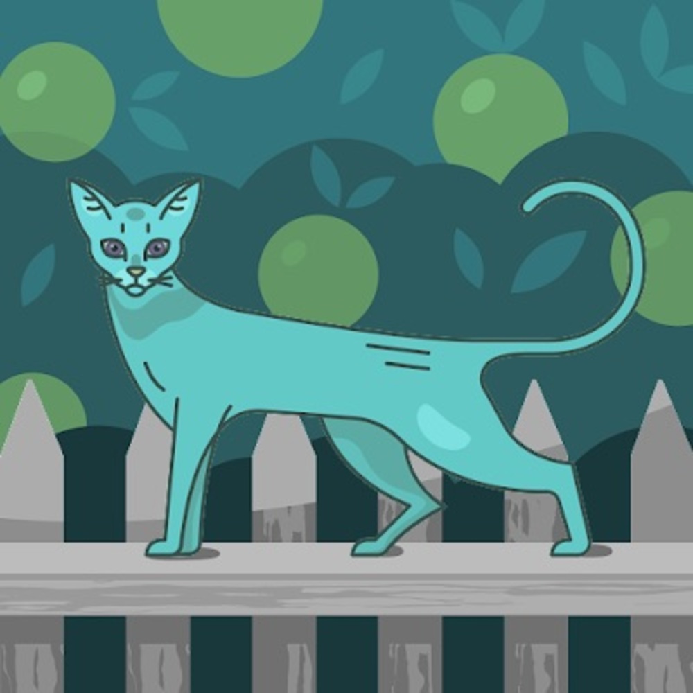 Meet your Posher, Felicia